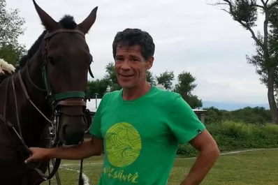 Regresa al escenario, 20 años después