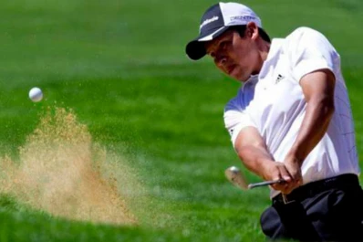 Busca una flor para su balcón