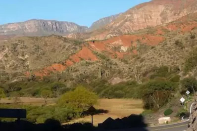 Jujuy: productores de durazno de los valles de altura mejoran la calidad de sus frutos