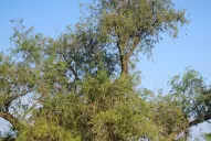 El tránsito, un dolor de cabeza