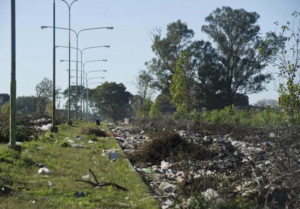 ¿Y LA CALLE?. Aunque no parezca, lo que hay debajo de las ramas, escombros y basura es la calzada sur de la calle Bolivia, estrenada en 2009. la gaceta / fotos de jorge olmos sgrosso