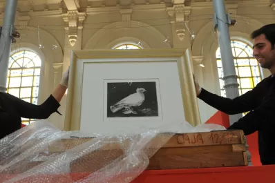 Picasso en Tucumán: sus musas, sus amigos, la vida y la muerte