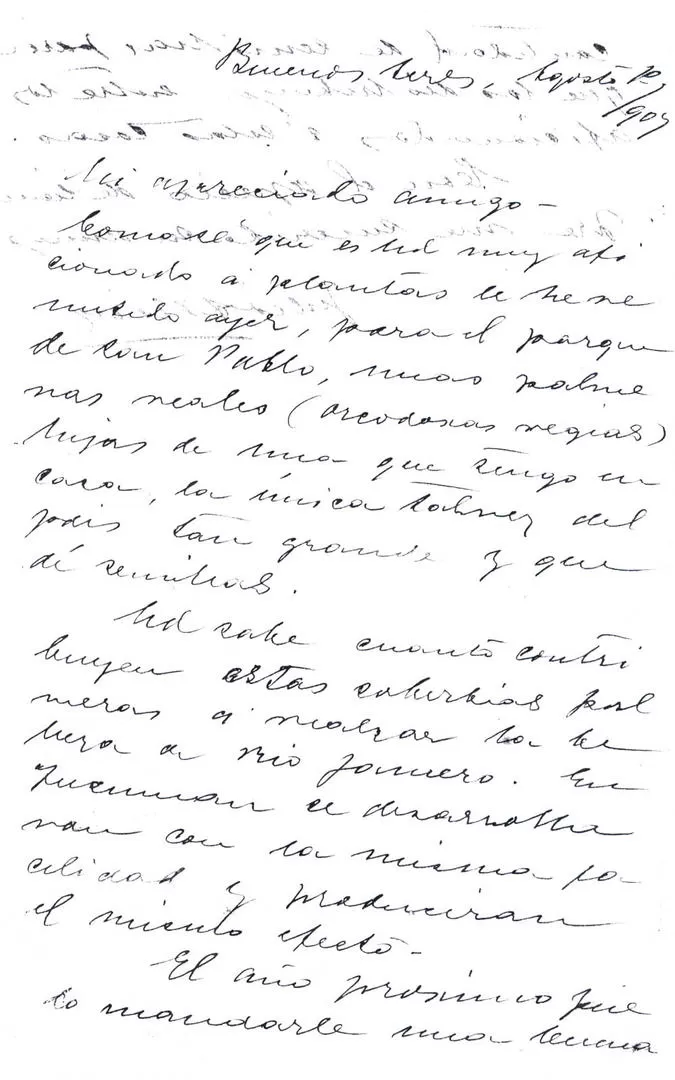 CARTAS DE ROCA. Primera página de la carta del general Roca al ingeniero Luis F. Nougués, donde anunciaba el envío de las semillas de palmeras brasileñas. la gaceta / archivo