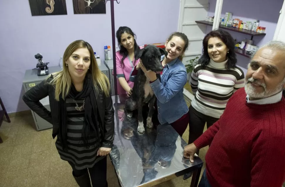 ESTRENO. Alejandra Palermo (a la izq.), la fundadora de Cadena Mascotera; con Dina, una perrita que vive en la clínica, y miembros de la ONG. la gaceta / fotos de jorge olmos sgrosso 