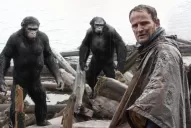 Contundente parábola sobre la evolución