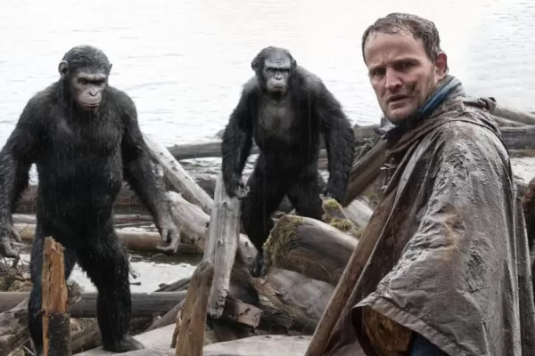 Contundente parábola sobre la evolución