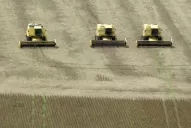 La economía ya siente la anemia de dólares y golpea las reservas del BCRA