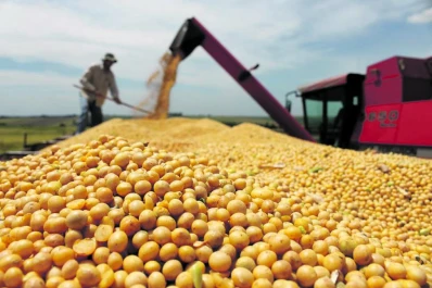 El productor de granos del NOA trabaja a pérdida