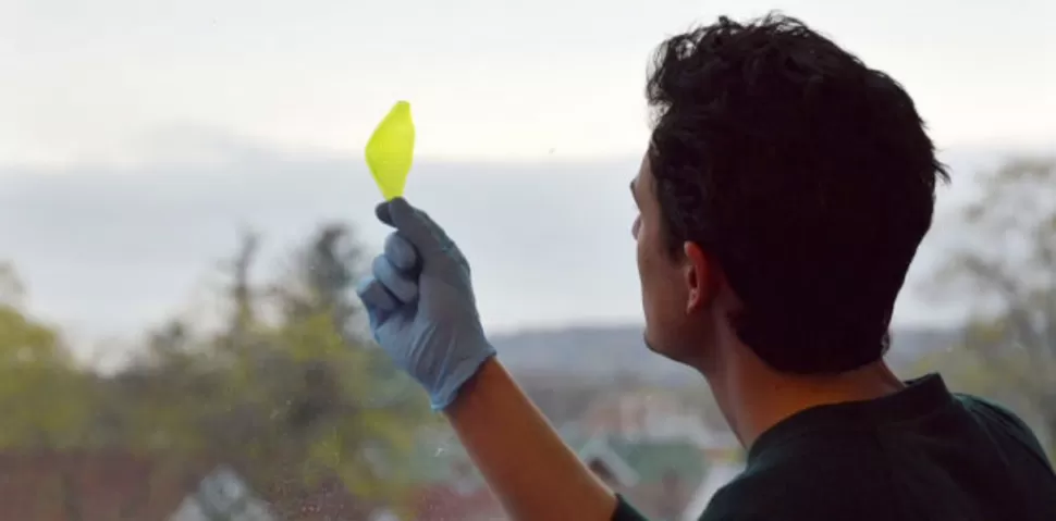 Crean la primera hoja sintética que transforma agua y luz en oxígeno