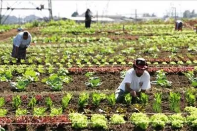 Lanzan la Mesa de Agricultura Familiar de Santiago