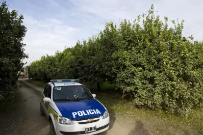Le destrozaron la cabeza para asaltarlo