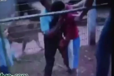 Tigre le arranca la mano a un niño en zoológico de Brasil