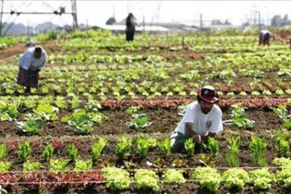 Lanzan la Mesa de Agricultura Familiar de Santiago