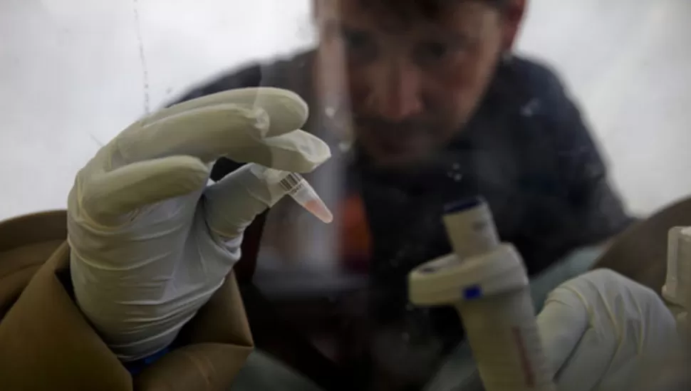 Ébola: síntomas, contagio y tratamiento