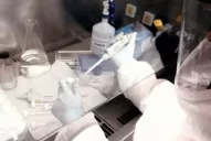 El Ministerio de Salud instó a estar alerta por casos de ébola en el país