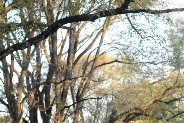 Trasmontaña: el descanso de los guerreros Gasco y Caraccioli
