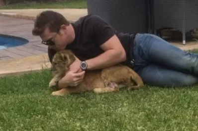 Canelo Álvarez presenta a su nueva mascota: un león