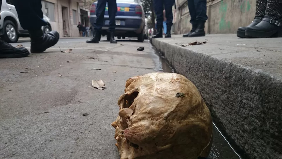 EN LA CALLE. La Policía estima que el cráneo podría haber sido utilizado por un estudiante de Medicina. LA GACETA / FOTO DE JOSÉ INESTA