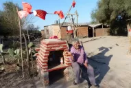 Los obreros ferroviarios ahora se dedican a cazar víboras