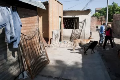 La mudanza de “Villa Piolín” se concretaría a fin de mes