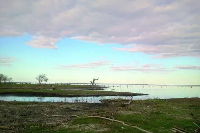 El Zorro vuelve a dar la nota