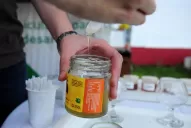 Del panal al paladar: la miel más pura está en la Expo