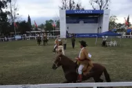 El elegante caballo peruano, el rey de la Expo