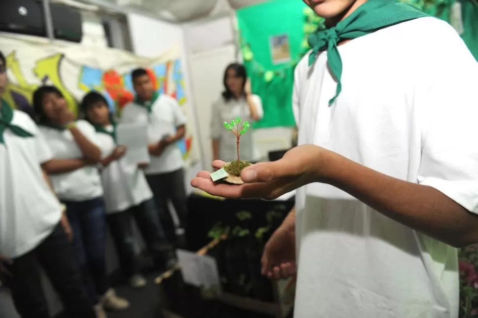 RECICLADO. Un alumno muestra un souvenir (El árbol de la vida) hecho con material plástico y alambre. la gaceta / foto de hector peralta