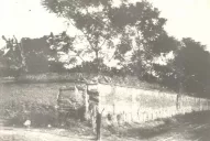 Una visión de la batalla