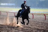 Poker de ases en el Gran Premio Batalla de Tucumán