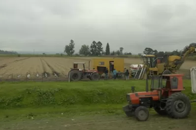 La acotada gestión agrícola lleva a un manejo errado