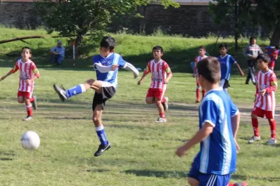 Sorpresas al por mayor