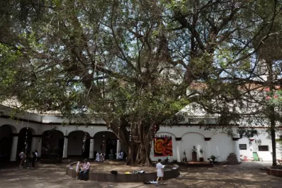 Acordarían sobre la ciudadanía plena para los preuniversitarios