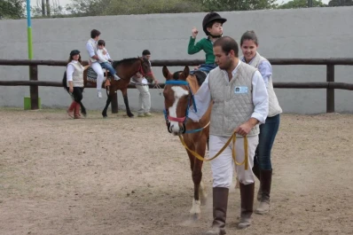 Animales que ayudan a sanar