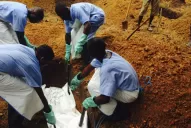 ¿Puede el Ébola llegar a Argentina?