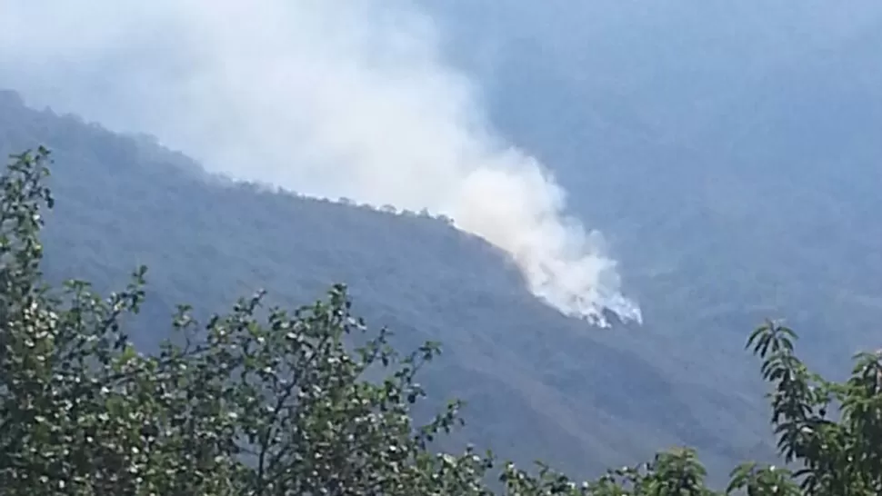 Se incendian árboles y pastizales en La Banderita, al oeste de Concepción