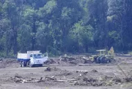 La tala en el predio del ex Arsenal preocupa a los vecinos de Tafí Viejo