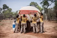 Sin bosques, la temperatura regional puede aumentar 3°