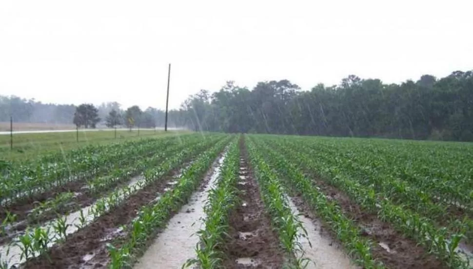 SÍ Y NO. Las lluvias fueron  muy irregulares en Tucumán. 