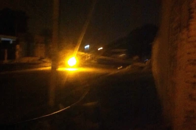 Las ráfagas derribaron postes de luz en Alderetes