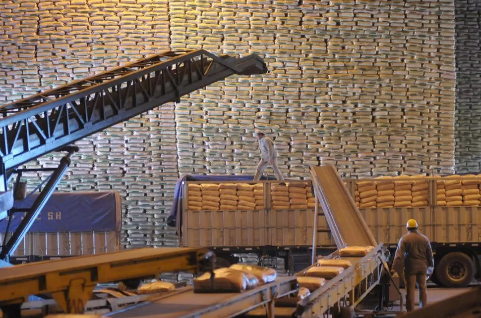 PROCESO INDUSTRIAL. Trabajadores tucumanos acopian bolsas de azúcar de 50 kilogramos en un ingenio de la provincia. la gaceta / foto de franco vera (archivo)