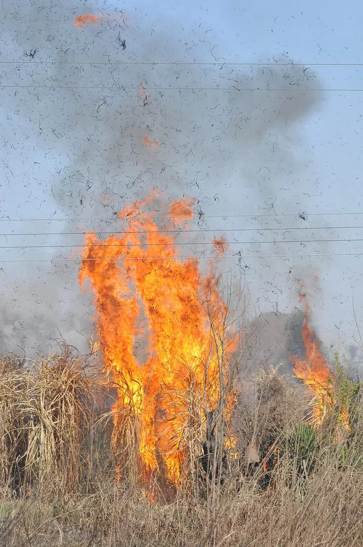 FLAGELO. La quema de cañaverales afecta a las poblaciones rurales. la gaceta / foto de FOTO OSVALDO RIPOLL (archivo)