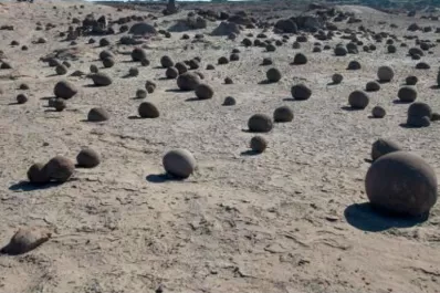 San Juan: Hallan un área con fósiles desconocidos de 200 millones de años