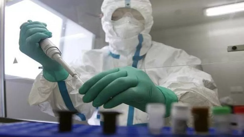 Alemania se prepara para probar vacunas contra el ébola en humanos