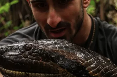 Un hombre será comido vivo por una anaconda en un documental