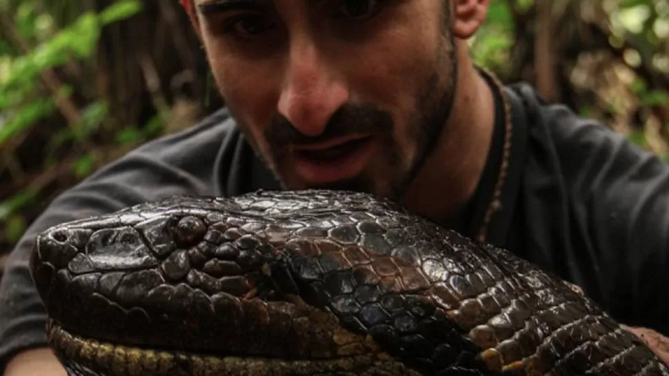 AVENTURERO. Paul Rosolie pretende introducirse en el estómago de la serpiente para conocer la experiencia. FOTO TOMADA DE MDZOL.COM