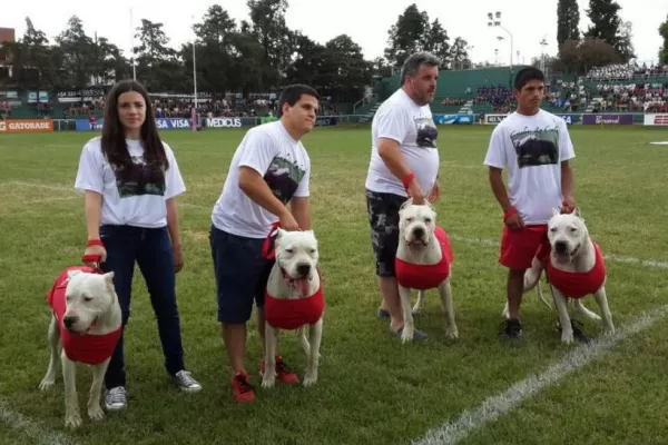 A cara de perro y con poco aliento desde las tribunas