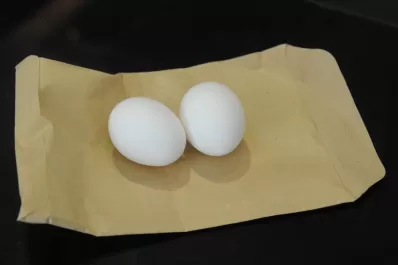 Un hincha de Atlético le entregó dos huevos a Leito en la conferencia de prensa