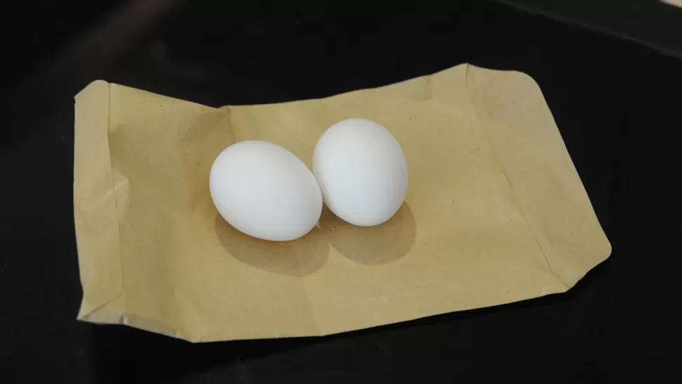 POLÉMICA. El hincha se coló entre la prensa para entregarle dos huevos de gallina a Leito. LA GACETA / FOTO DE ANTONIO FERRONI