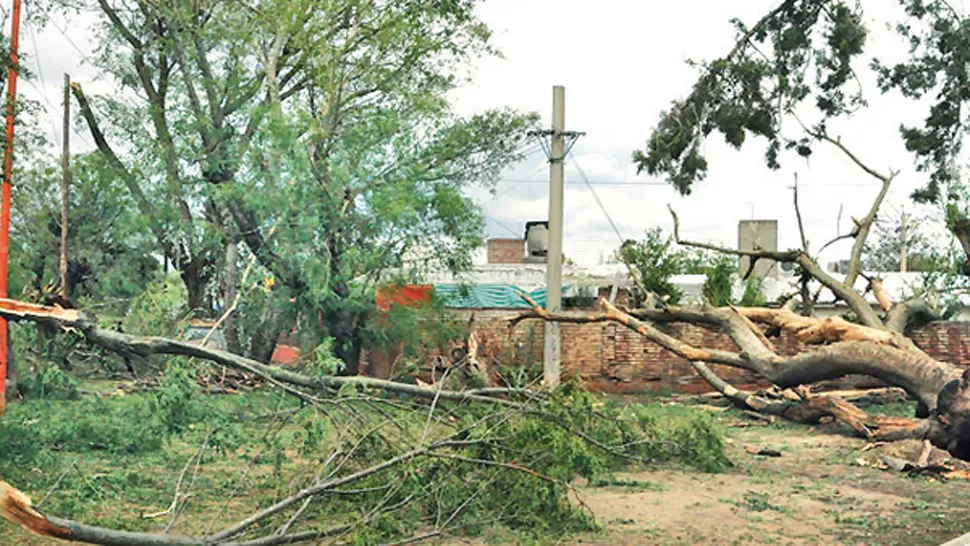 FOTOS DE ELLIBERAL.COM.AR